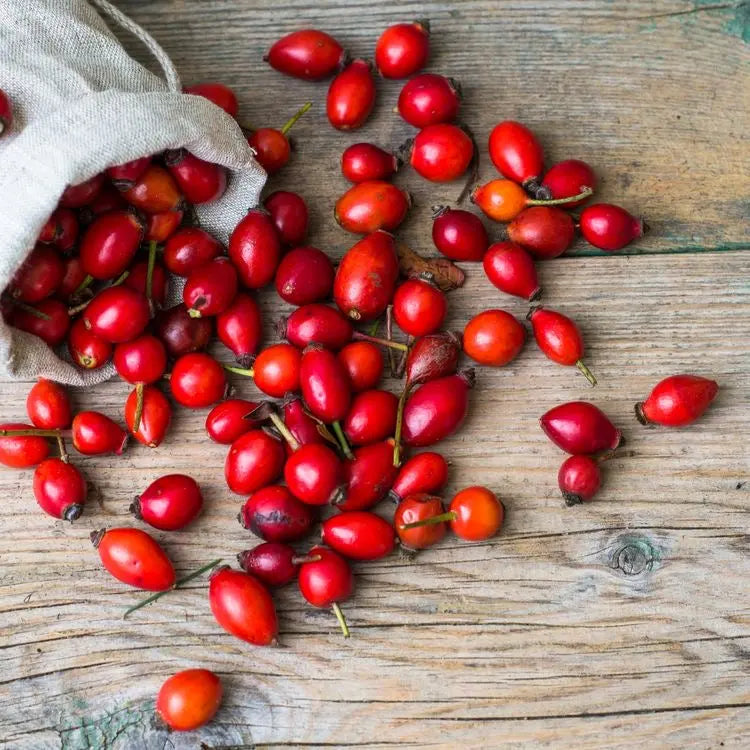 Rosehip Oil: Nature's Elixir for Radiant Skin ANGEL CARE